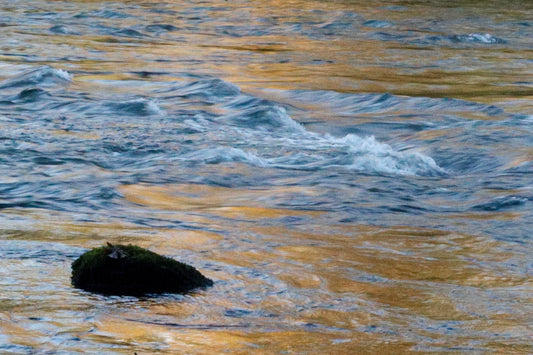River run