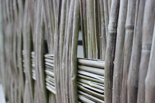 Bamboo fence